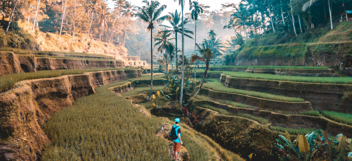 Youth Market Travel
